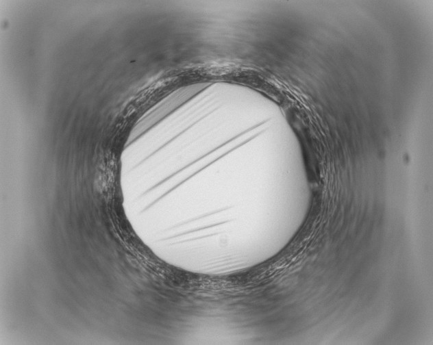 X0000086981349200705141705