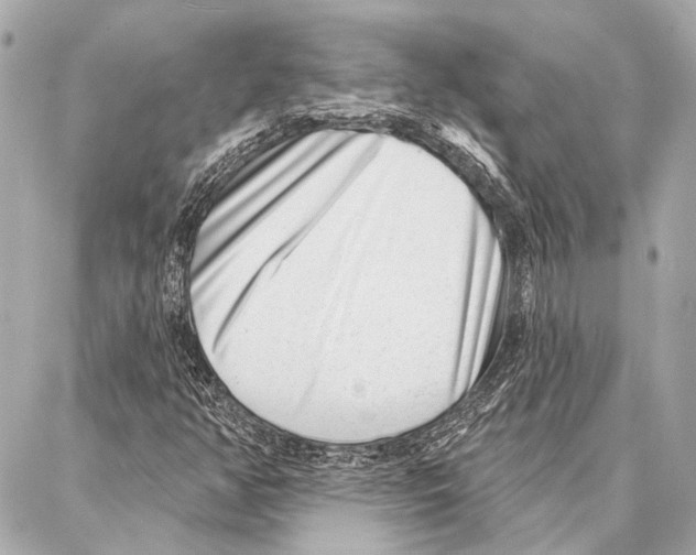 X0000086981350200705141705