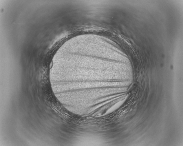 X0000086981351200705141705