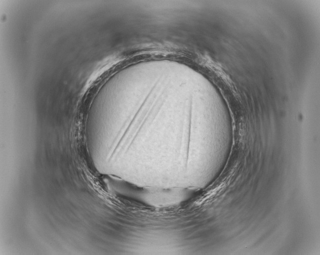 X0000086981352200705141705