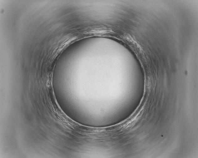 X0000086981353200705141705