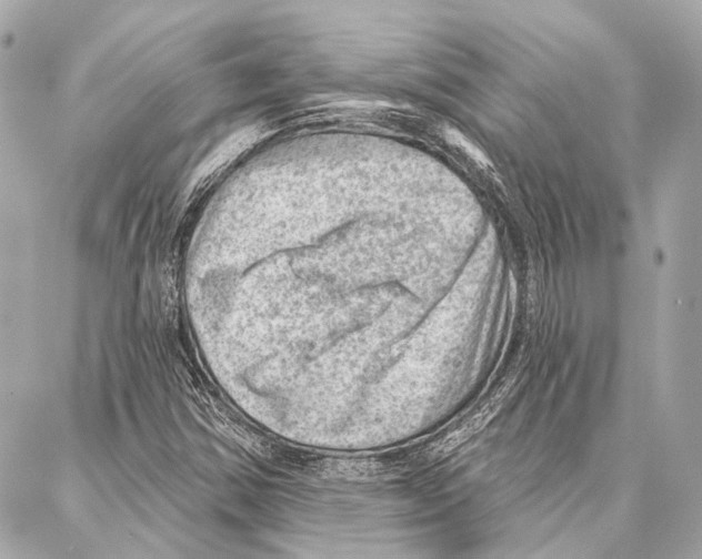 X0000086981354200705141705