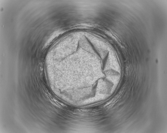 X0000086981355200705141705