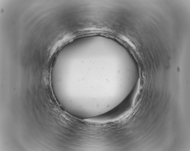 X0000086981357200705141705