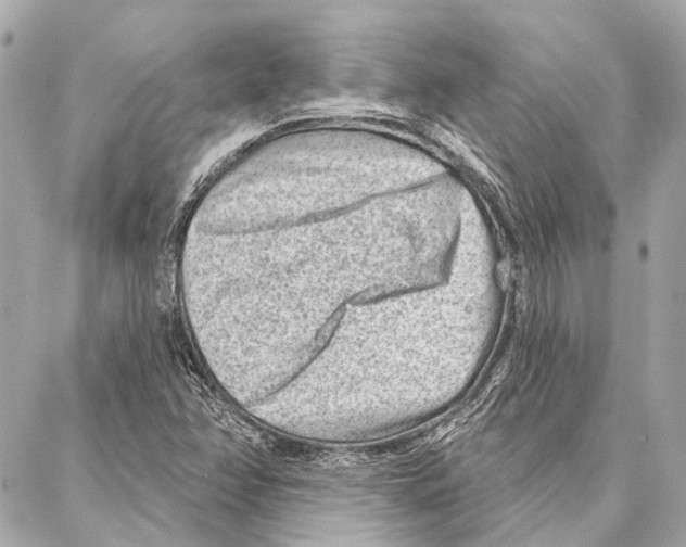 X0000086981358200705141705