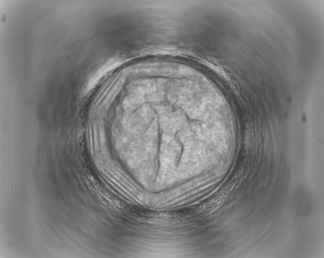 X0000086981359200705141705