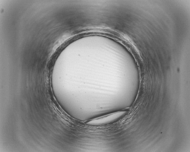 X0000086981360200705141705