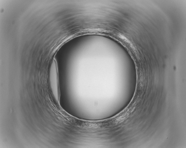 X0000086981361200705141705