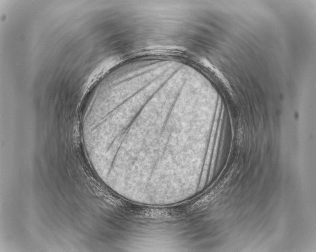 X0000086981362200705141705