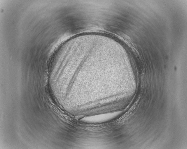 X0000086981363200705141705