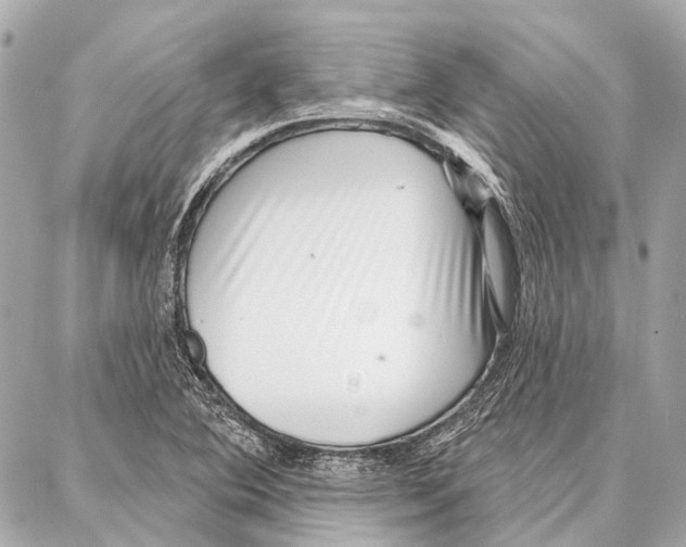 X0000086981364200705141705