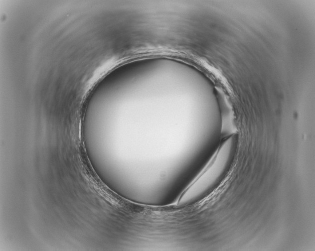 X0000086981365200705141705