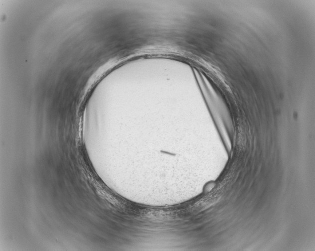 X0000086981366200705141705