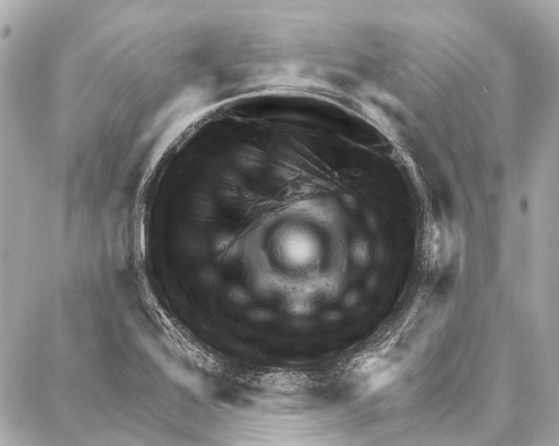 X0000086981368200705141705