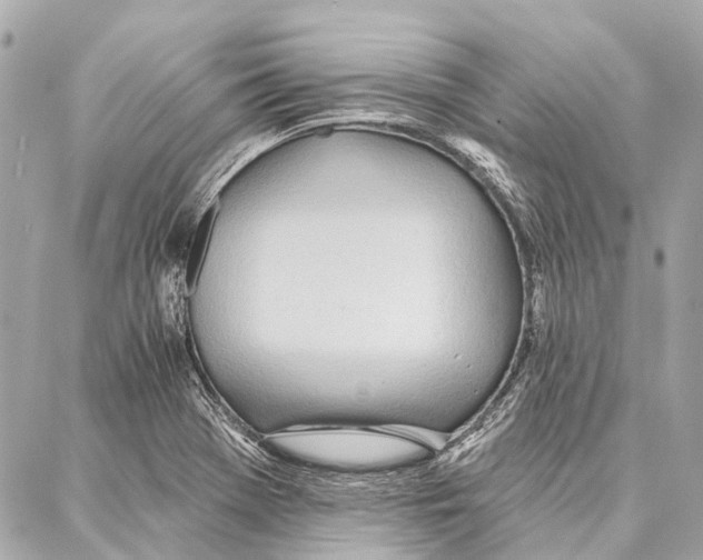 X0000086981369200705141705