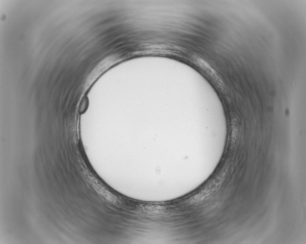 X0000086981370200705141705