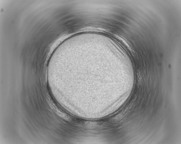 X0000086981371200705141705