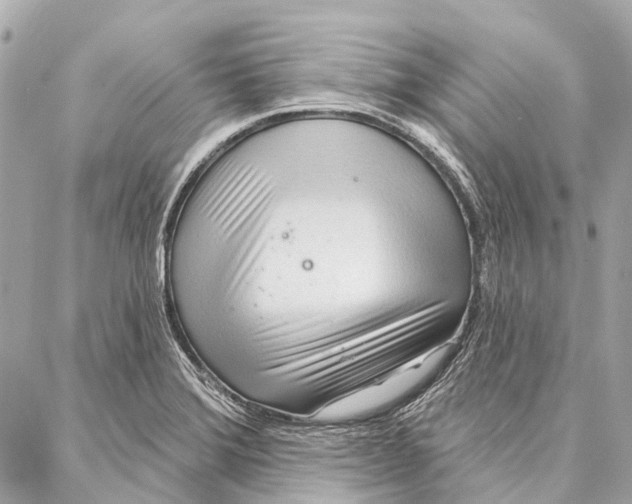 X0000086981372200705141705