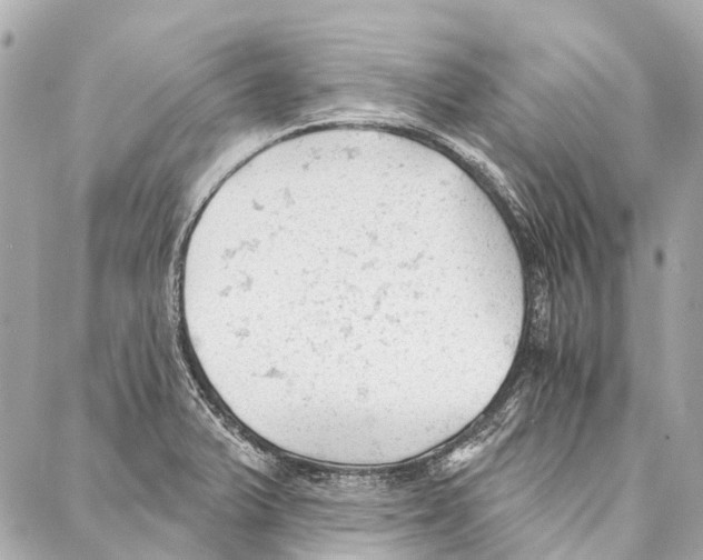 X0000086981375200705141705