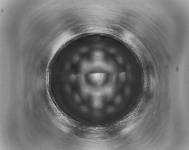 X0000086981376200705141705