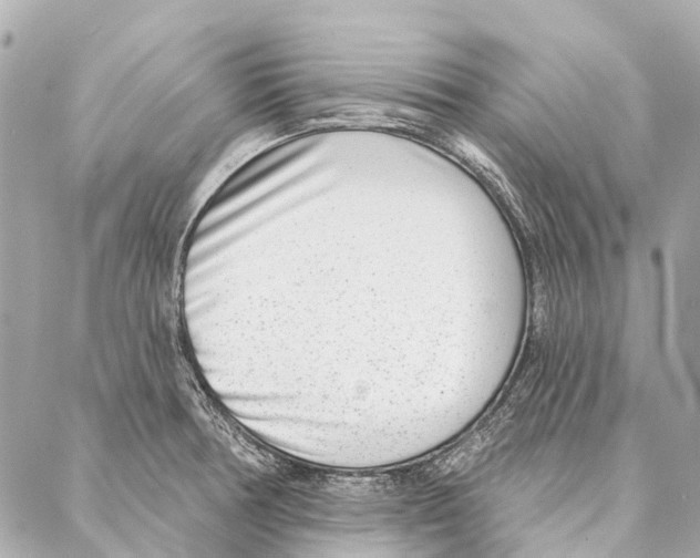 X0000086981378200705141705