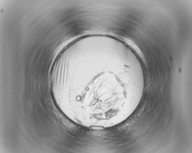 X0000086981380200705141705