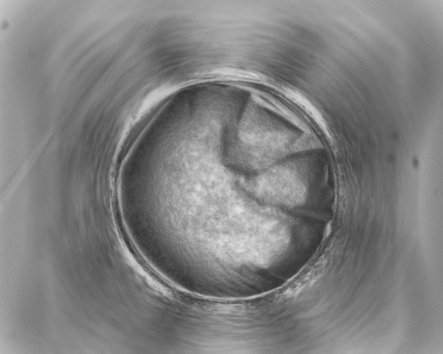 X0000086981381200705141705