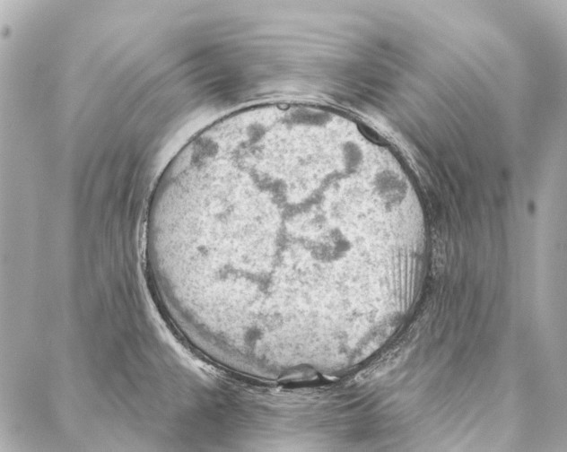 X0000086981383200705141705