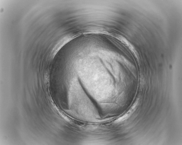 X0000086981385200705141705