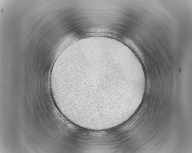 X0000086981386200705141705