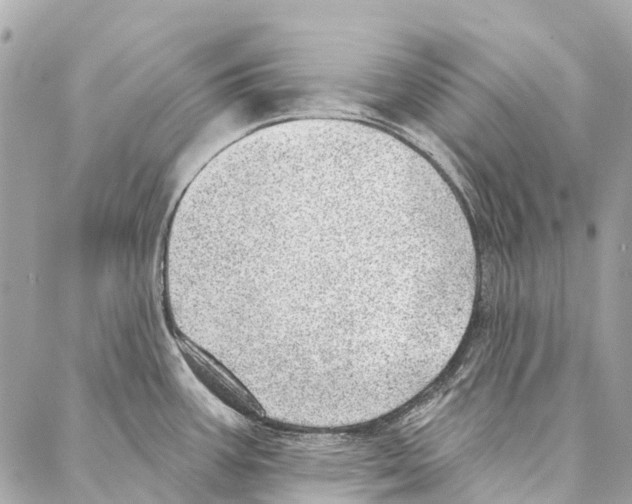 X0000086981387200705141705