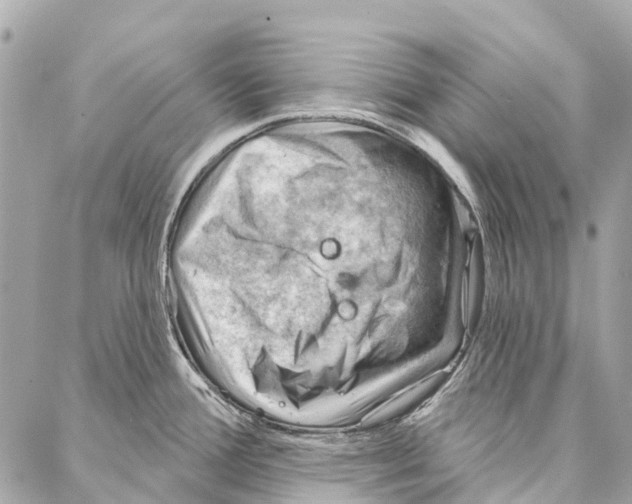 X0000086981388200705141705