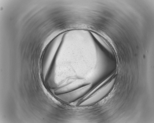 X0000086981389200705141705