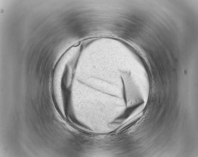 X0000086981390200705141705