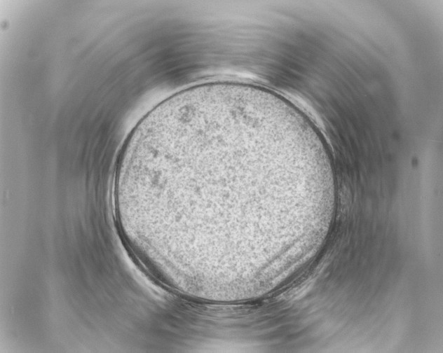 X0000086981391200705141705