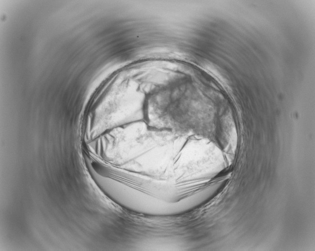 X0000086981392200705141705