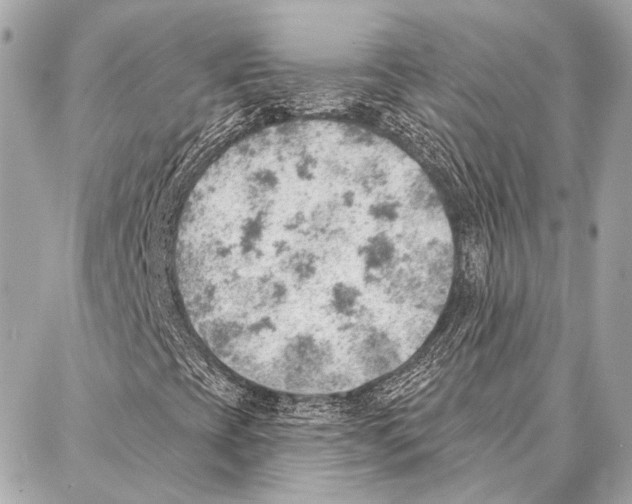 X0000086981393200705141704