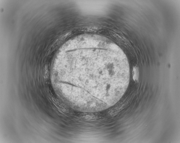 X0000086981395200705141704