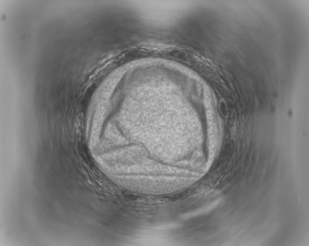 X0000086981397200705141704