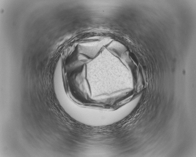 X0000086981398200705141704