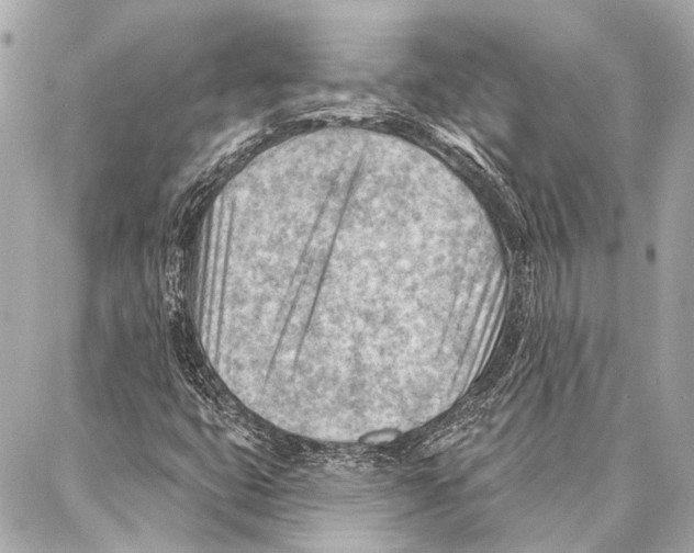 X0000086981399200705141704