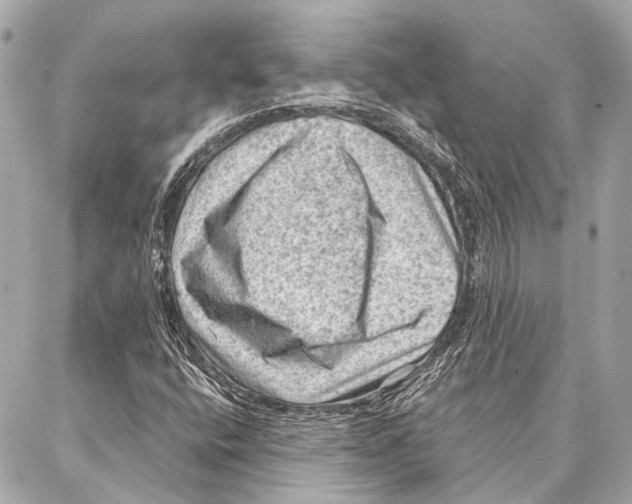 X0000086981400200705141704