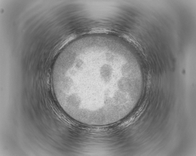 X0000086981401200705141704