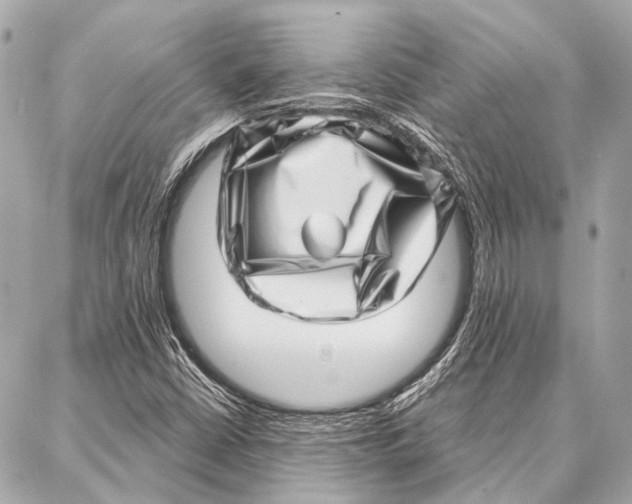 X0000086981402200705141704