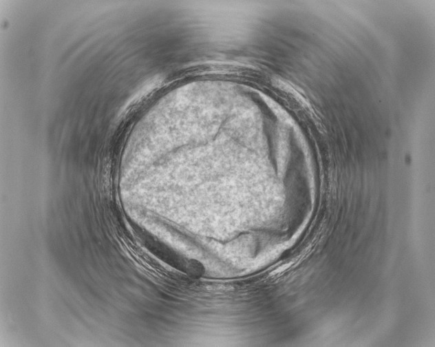 X0000086981403200705141704