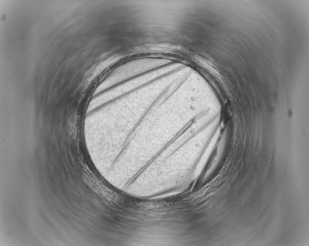 X0000086981404200705141704