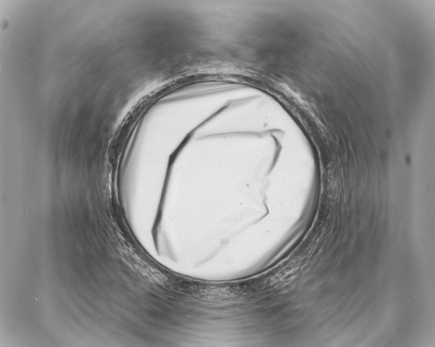 X0000086981408200705141704