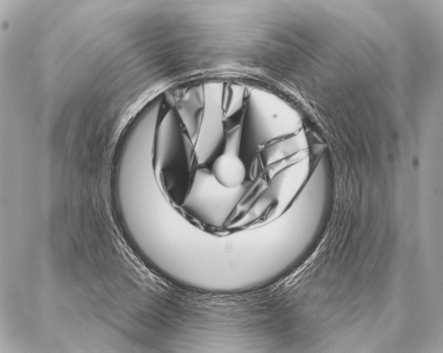 X0000086981410200705141704