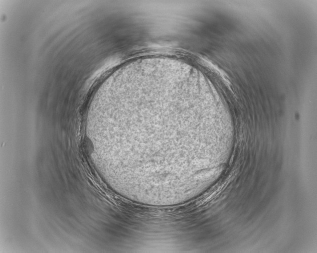 X0000086981411200705141704