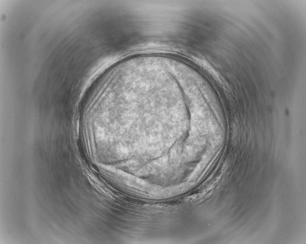 X0000086981413200705141704